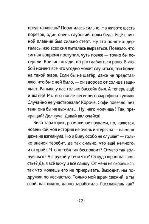 Дополнительное изображение книги «Берег Софи»