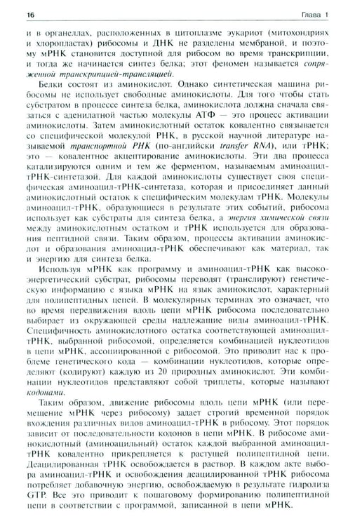 Дополнительное изображение книги «Молекулярная биология. Рибосомы и биосинтез белка: Учебное пособие. 4-е изд»