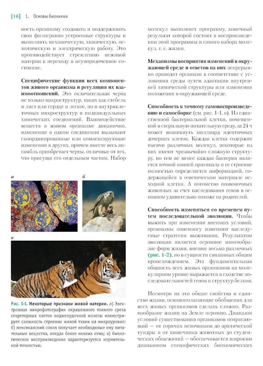 Дополнительное изображение книги «Основы биохимии Ленинджера. В 3 т. Т. 1: Основы биохимии, строение и катализ. 5-е изд., перераб.и доп»