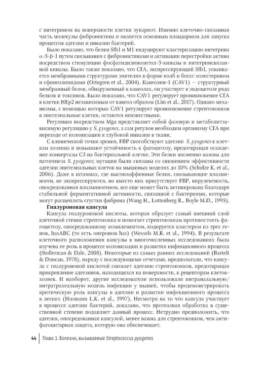 Дополнительное изображение книги «Стрептококки и вызываемые ими болезни»