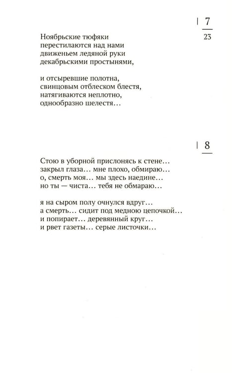 Дополнительное изображение книги «Вниз по Мачехе, по Сене. Парижские стихотворения 1920-х годов»