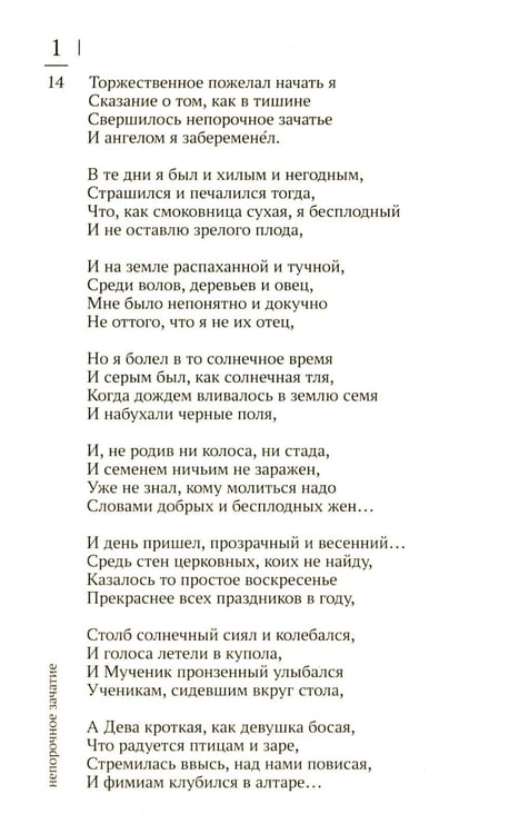 Дополнительное изображение книги «Вниз по Мачехе, по Сене. Парижские стихотворения 1920-х годов»