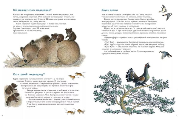 Дополнительное изображение книги «Жизнь медвежонка от зимы до зимы: рассказ  картинках»