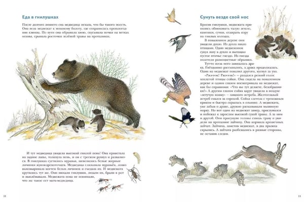 Дополнительное изображение книги «Жизнь медвежонка от зимы до зимы: рассказ  картинках»
