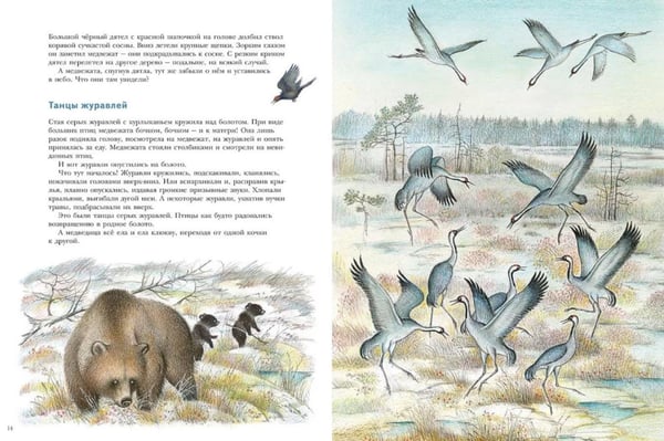 Дополнительное изображение книги «Жизнь медвежонка от зимы до зимы: рассказ  картинках»