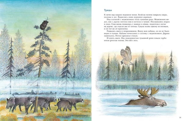 Дополнительное изображение книги «Жизнь медвежонка от зимы до зимы: рассказ  картинках»