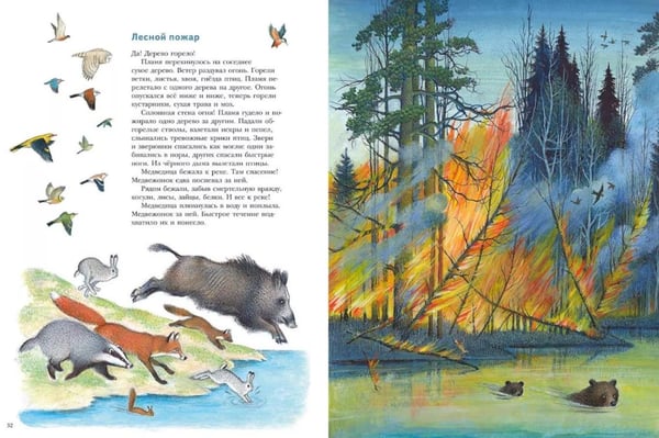 Дополнительное изображение книги «Жизнь медвежонка от зимы до зимы: рассказ  картинках»