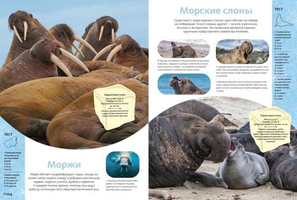 Дополнительное изображение книги «Животные морей и океанов. Большая школьная энциклопедия»