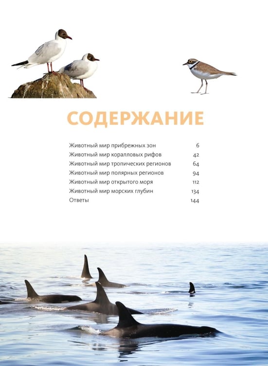 Дополнительное изображение книги «Животные морей и океанов. Большая школьная энциклопедия»