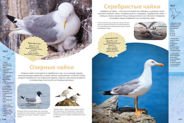 Дополнительное изображение книги «Животные морей и океанов. Большая школьная энциклопедия»