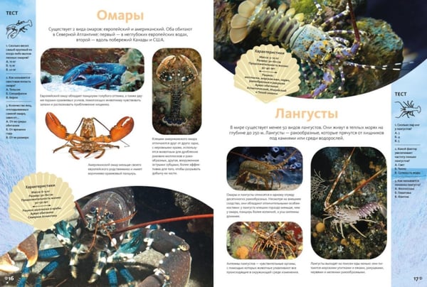 Дополнительное изображение книги «Животные морей и океанов. Большая школьная энциклопедия»