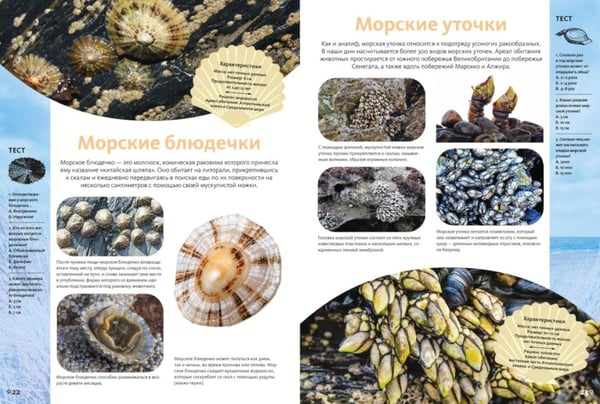 Дополнительное изображение книги «Животные морей и океанов. Большая школьная энциклопедия»