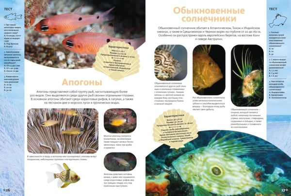 Дополнительное изображение книги «Животные морей и океанов. Большая школьная энциклопедия»