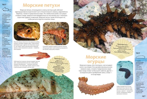 Дополнительное изображение книги «Животные морей и океанов. Большая школьная энциклопедия»