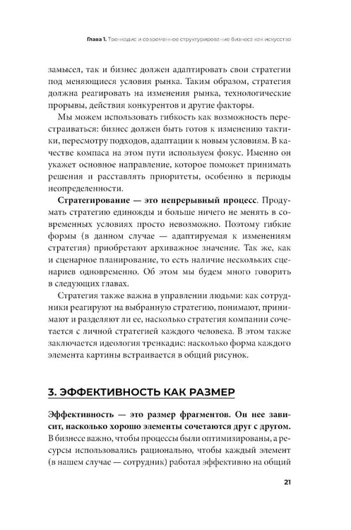 Дополнительное изображение книги «Бизнес-тренкадис. Секреты устойчивости современной организации»