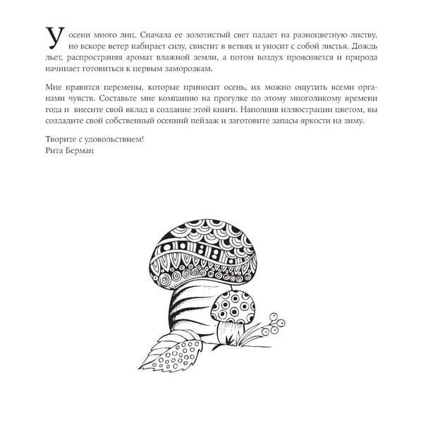 Дополнительное изображение книги «Год в раскрасках. Раскраски-антистресс для взрослых (комплект из 4-х книг)»