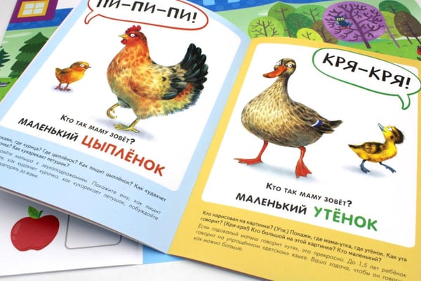 Дополнительное изображение книги «Школа Семи Гномов. Базовый курс. Комплект 1+ (6 книг + развивающие игры)»