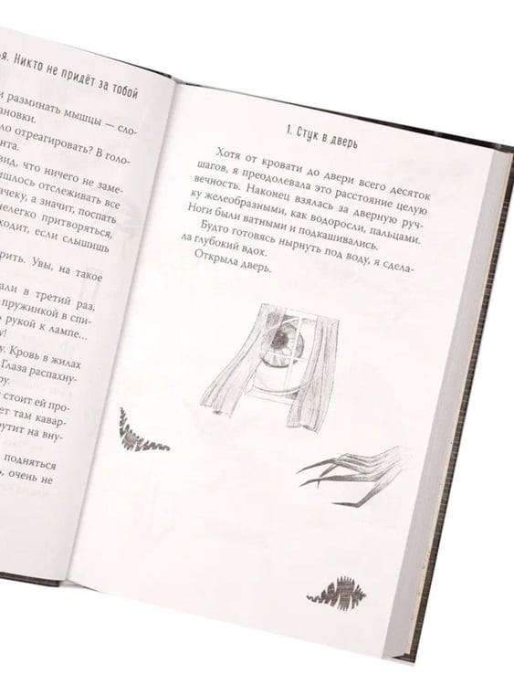 Дополнительное изображение книги «Никто не придет за тобой»