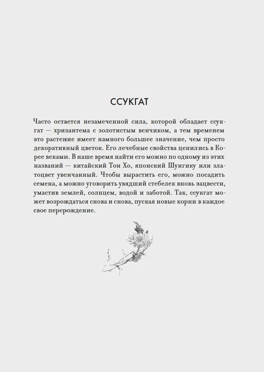 Дополнительное изображение книги «Ссукгат: Корейские секреты благополучия и осознанной жизни»