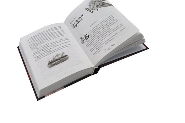 Дополнительное изображение книги «Обещаю, больно не будет. А если я тебя люблю? (комплект из 2-х книг)»