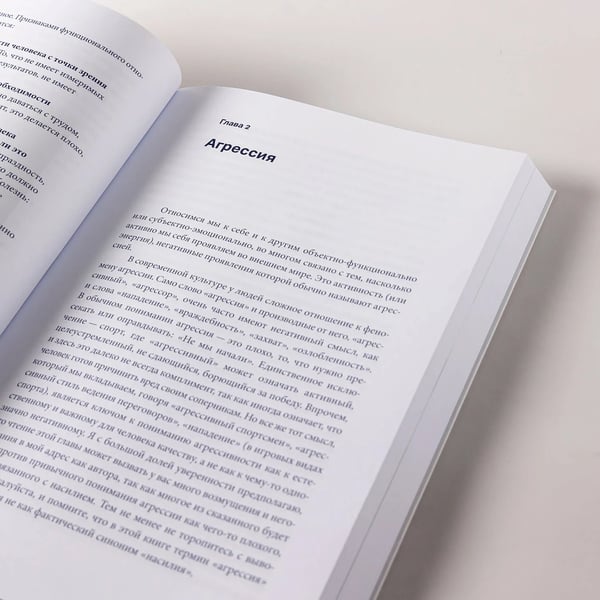 Дополнительное изображение книги «Человек переживающий. Как перестать быть функцией и стать живым»