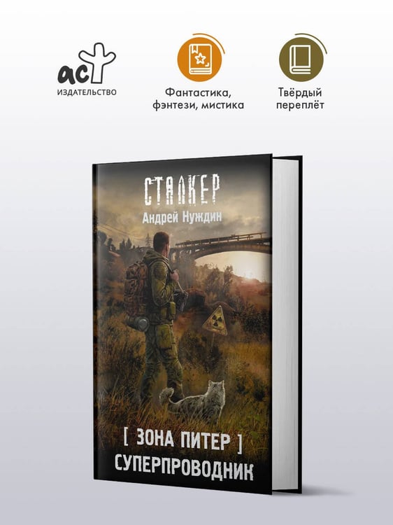 Дополнительное изображение книги «Зона Питер. Суперпроводник»
