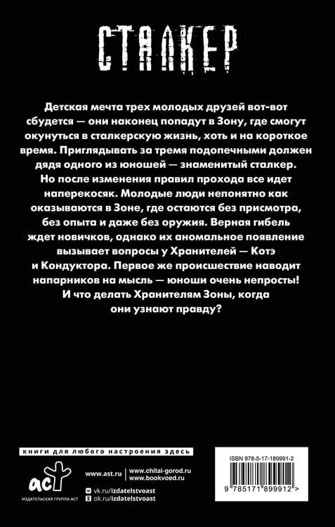 Дополнительное изображение книги «Зона Питер. Суперпроводник»