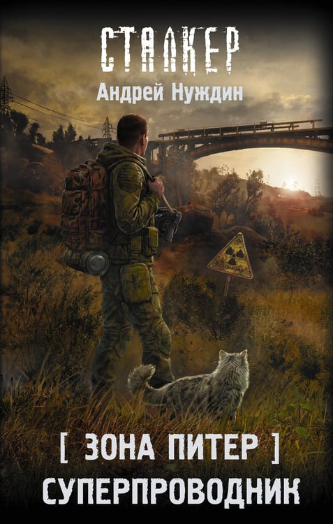 Обложка книги «Зона Питер. Суперпроводник» — Нуждин Андрей Станиславович, ISBN 9785171899912