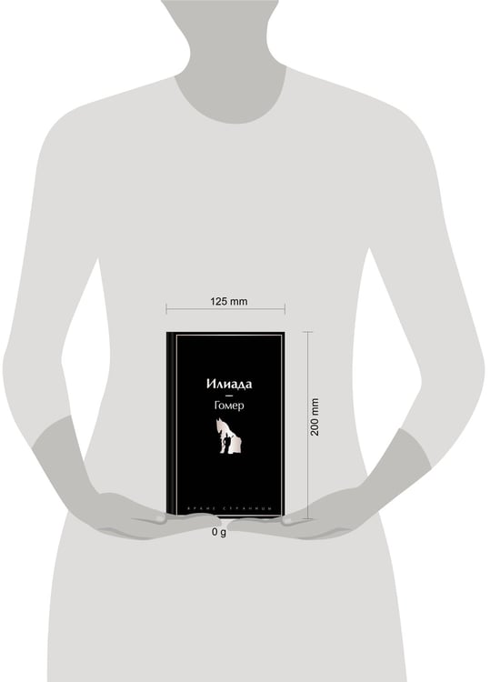Дополнительное изображение книги «Илиада»