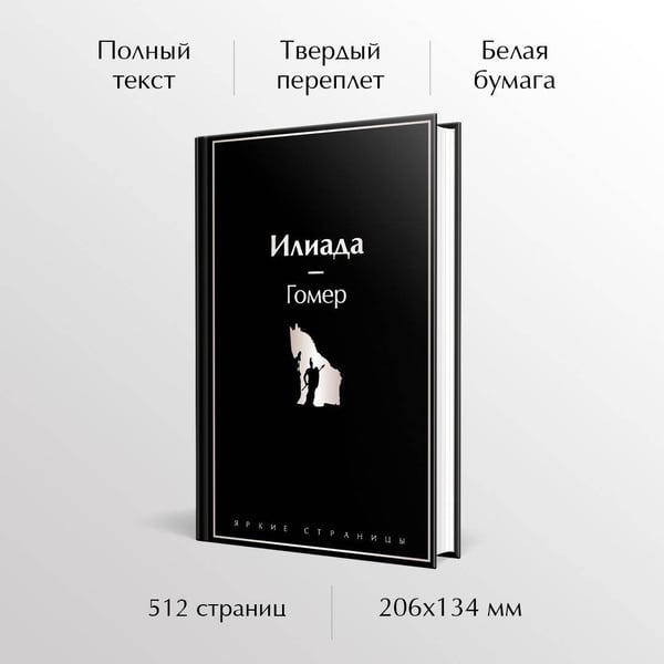 Дополнительное изображение книги «Илиада»
