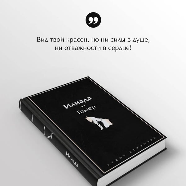 Дополнительное изображение книги «Илиада»