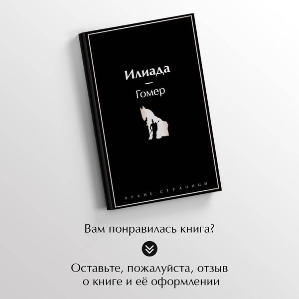 Дополнительное изображение книги «Илиада»