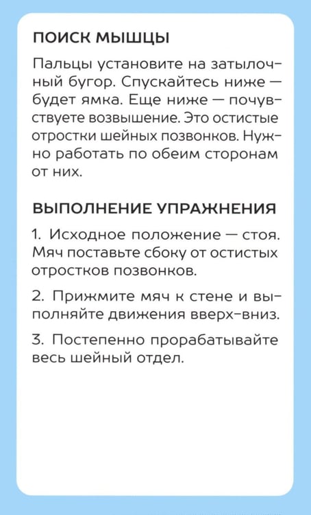 Дополнительное изображение книги «Избавься от триггерных точек. 54 карточки с упражнениями и описанием мышц»