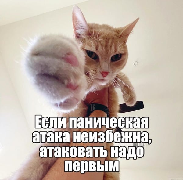 Дополнительное изображение книги «Я не вывожу! Календарь настенный на 2027 год для тех, кто задолбался (300х300 мм)»