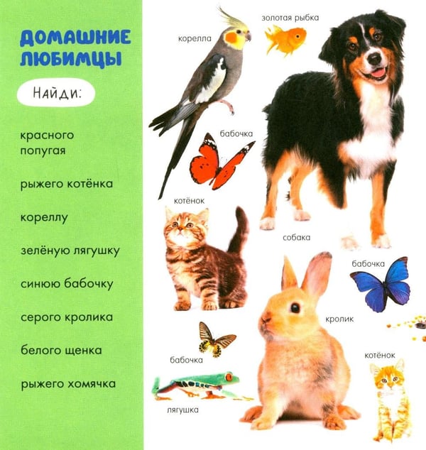 Дополнительное изображение книги «Животные»