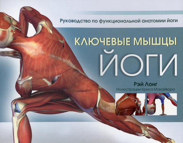 Обложка книги «Ключевые мышцы йоги» — Лонг Рэй, ISBN 9789851547872