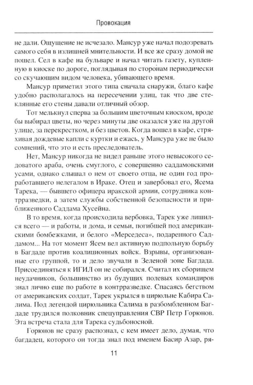Дополнительное изображение книги «Провокация; Статус "Ликвидация": романы»
