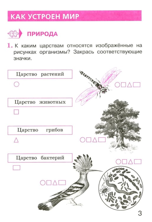 Дополнительное изображение книги «Окружающий мир. 3 кл. В 2 ч. Ч. 1. Тетрадь для тренировки и самопроверки. 13-е изд., стер»