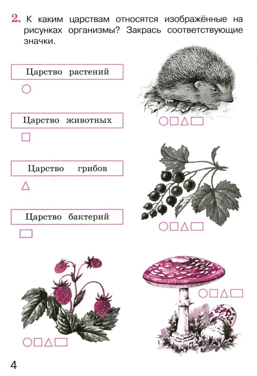 Дополнительное изображение книги «Окружающий мир. 3 кл. В 2 ч. Ч. 1. Тетрадь для тренировки и самопроверки. 13-е изд., стер»