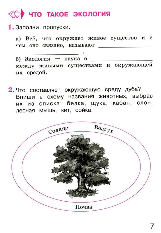 Дополнительное изображение книги «Окружающий мир. 3 кл. В 2 ч. Ч. 1. Тетрадь для тренировки и самопроверки. 13-е изд., стер»