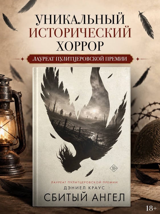 Дополнительное изображение книги «Сбитый ангел»