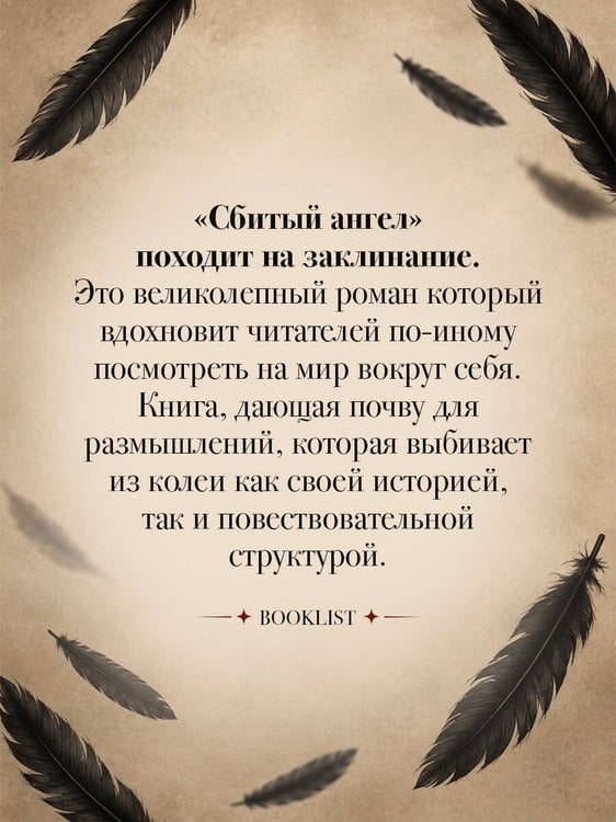 Дополнительное изображение книги «Сбитый ангел»