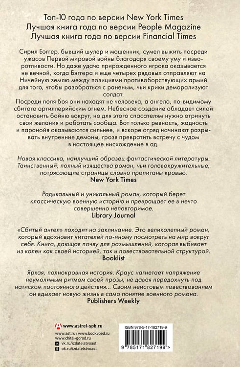 Дополнительное изображение книги «Сбитый ангел»