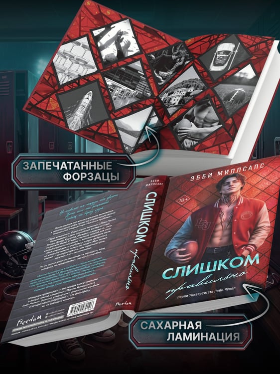 Дополнительное изображение книги «Слишком правильно (#1)»