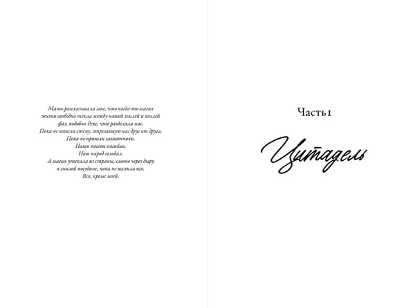 Дополнительное изображение книги «Она стала рекой»