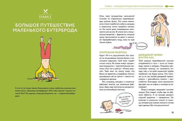 Дополнительное изображение книги «Почему урчит в животе?. Вкусные ответы на важные вопросы про еду и пищеварение»