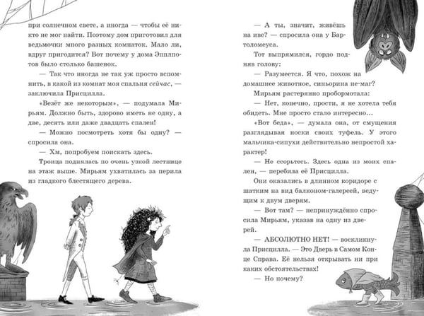 Дополнительное изображение книги «Моя подруга ведьма. Тайна дома напротив»
