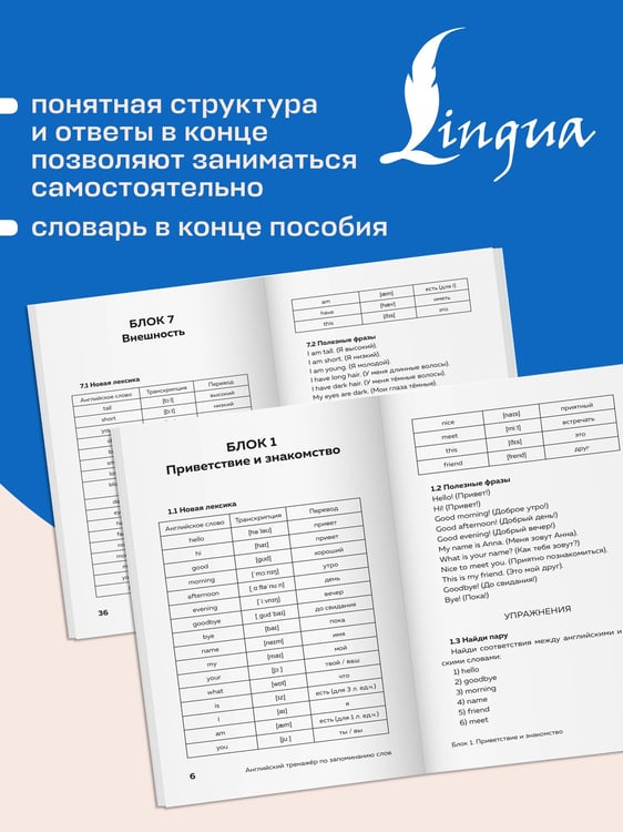 Дополнительное изображение книги «Английский тренажер по запоминанию слов для полных нулей»