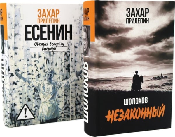 Дополнительное изображение книги «Есенин: Обещая встречу впереди; Шолохов: Незаконный (комплект из 2-х книг)»