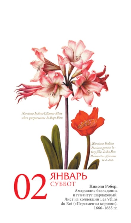Дополнительное изображение книги «Цветы в искусстве. 365 шедевров живописи. Настольный отрывной календарь на 2027 г»